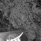 previous