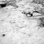 previous